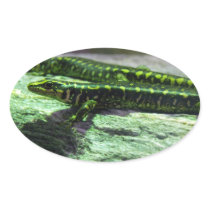 Otago Skink Sticker