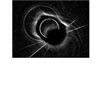 other Eclipse t-shirts