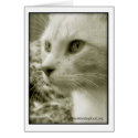 Otis Card by WillWorkForDogFood Otis Card