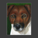 Otis - Jack Russell Terrier Art Postcards