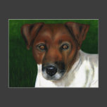Otis - Jack Russell Terrier Art Post Cards