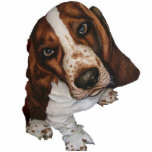 Otis Photo Sculpture photo sculptures