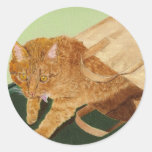 Otis the Cat Stickers