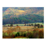 Otoño de la ensenada de Cades - Great Smoky Mounta Tarjeta Postal