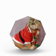 Otro gato de Santa del navidad