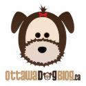 Ottawa Dog Blog Stand photo sculptures
