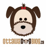 Ottawa Dog Blog Stand Acrylic Cut Out