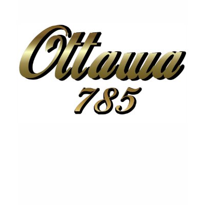 Ottawa Tee Shirts by burntright