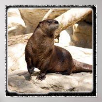 otter_10x10 posters
