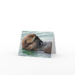 otter 117c card