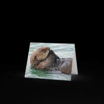otter 117c cards by BarbaraE02 otter 117c cards