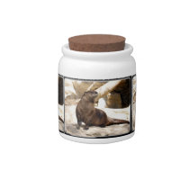otter_12x9 candy jars