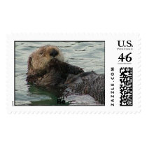 otter 1a, Be postage by BarbaraE02 otter 1a, Be postage