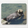 Otter at Morro Bay Mousepad