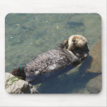 Otter at Morro Bay Mousepad
