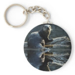 Otter Beauty Wild Otter Photo Zipper-pull Keychain
