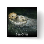 Otter Beauty Wild Sea Otter Photo Art