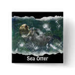 Otter Beauty Wild Sea Otter Photo Art