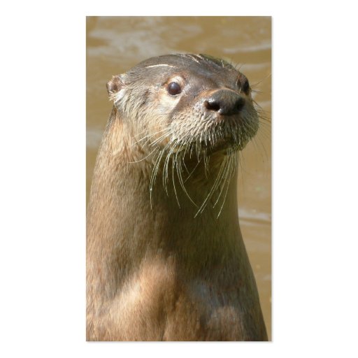 Otter Business Card (back side)