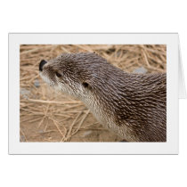 Otter Greeting Cards