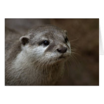 Otter cards by cARTerART Otter cards