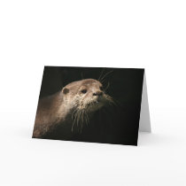 Otter cards by Kethram Otter cards