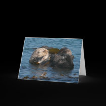 Otter cleaning friend cards