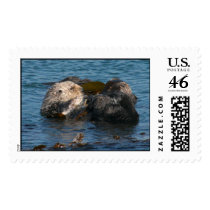 Otter cleaning friend postage by wdm_emm Otter cleaning friend postage