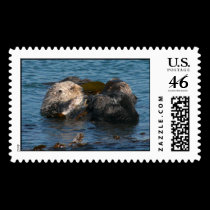Otter cleaning friend postage