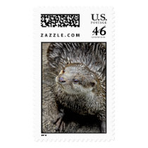 Otter Close-up Stamps