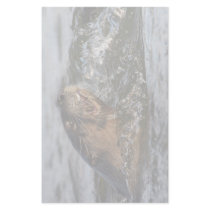otter & fish stationery paper