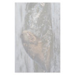 otter &amp; fish stationery paper