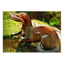 Otter Fishing by Pool, in Oil (2) Business Card Template
