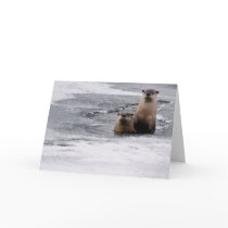 Otter Friends cards by jchooper12 Otter Friends cards
