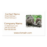 Otter Habitat Business Card