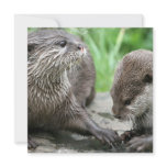 Otter Habitat Inviations Invitations