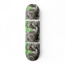 Otter Habitat Skateboard