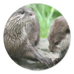 Otter Habitat Sticker