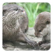 Otter Habitat Stickers