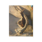 Otter in a Hammock Notepad Otter in a Hammock Notepad