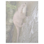 Otter in Spey Valley, Highland of Scotland Letterhead