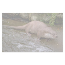 Otter in Spey Valley, Highland of Scotland Stationery Design