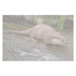 Otter in Spey Valley, Highland of Scotland Stationery Design