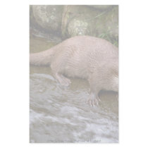 Otter in Spey Valley, Highland of Scotland Stationery Paper