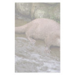 Otter in Spey Valley, Highland of Scotland Stationery Paper