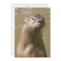 Otter Invitation