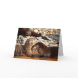 Otter Love Greeting Cards