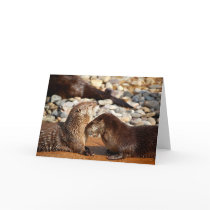Otter Love cards by almedic104 Otter Love cards