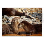 Otter Love Greeting Cards