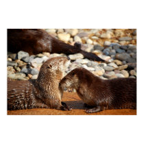 Otter Love posters